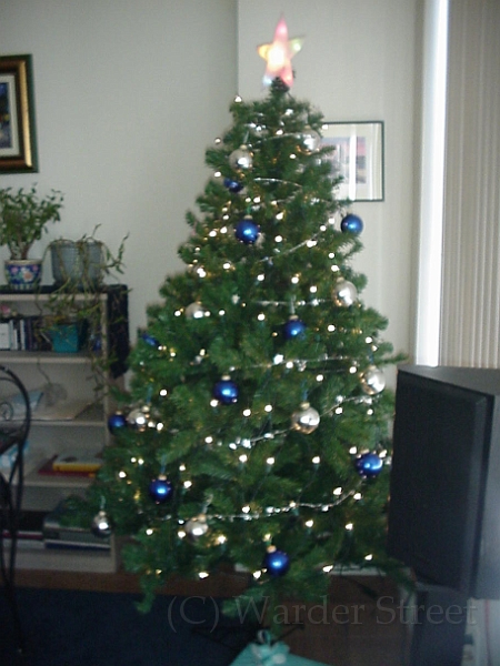 Christmas Tree 2000 2.jpg